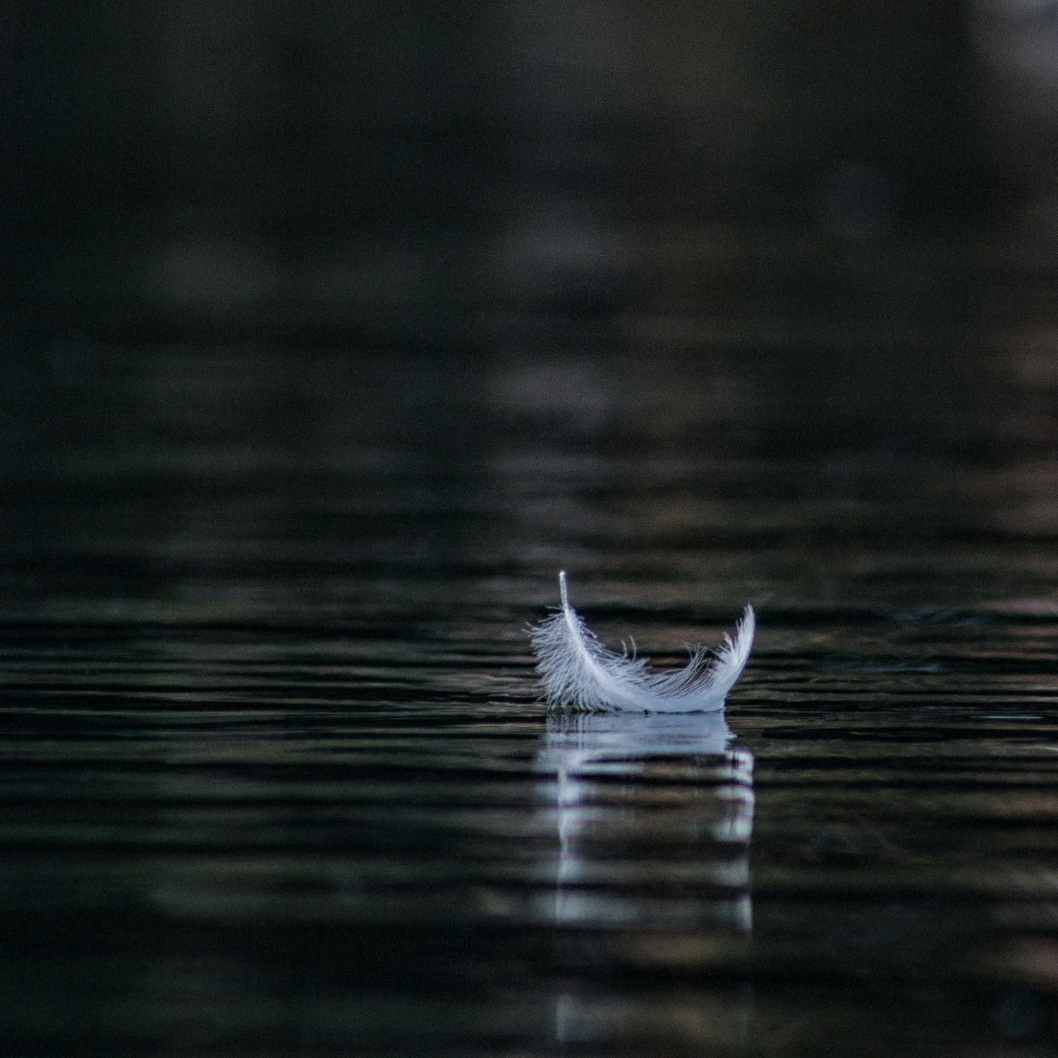 Может ли молчание погубить вашу компанию