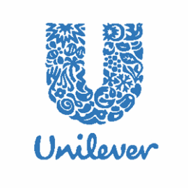 Бизнес-кейс "Перак" (компании Unilever)