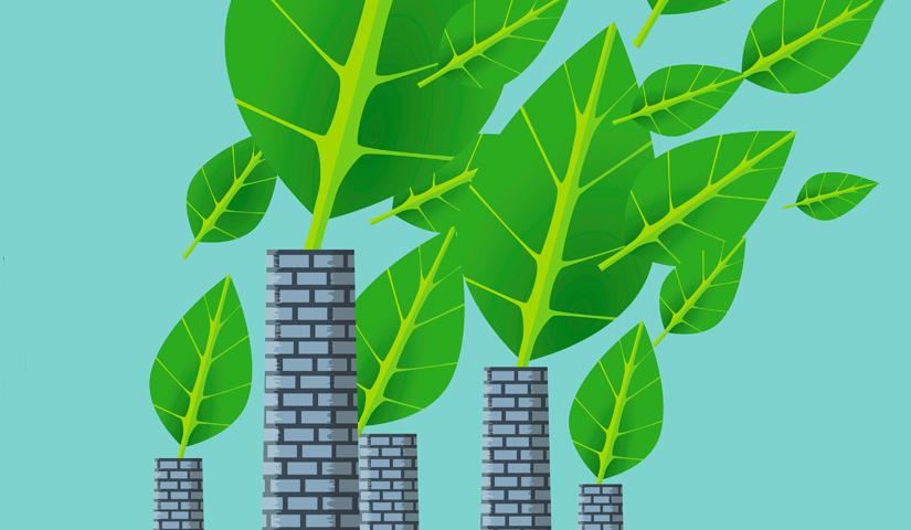 Все оттенки зеленого: как компании лгут о своей экологической ответственности