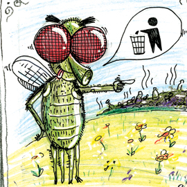 История о мухе и пчеле