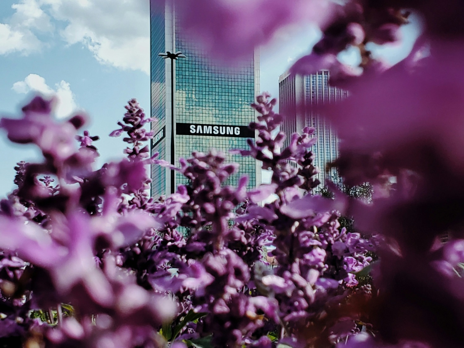 Уроки чеболей для собственников и CEO в России