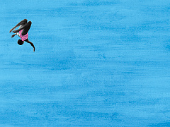 От слова к делу