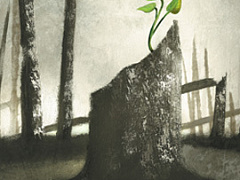 Секреты жизнестойкости