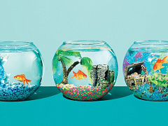 Три цены одного товара