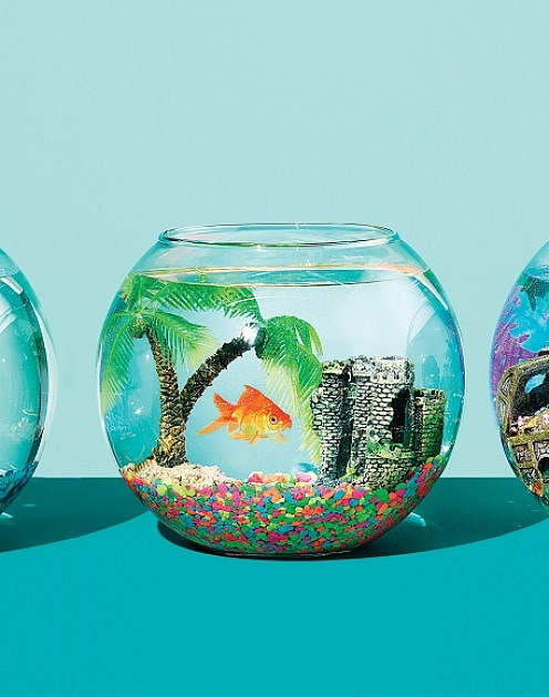 Три цены одного товара