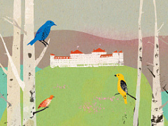 Зачем сражаться  в одиночку?