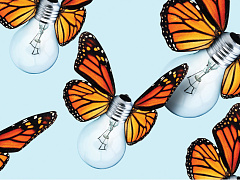 Яркие идеи от заката до рассвета