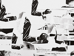 Шумы, или всегда ли правы эксперты?