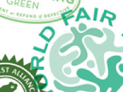 Экономика истинных издержек