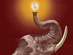 Африка: полигон для экспериментов