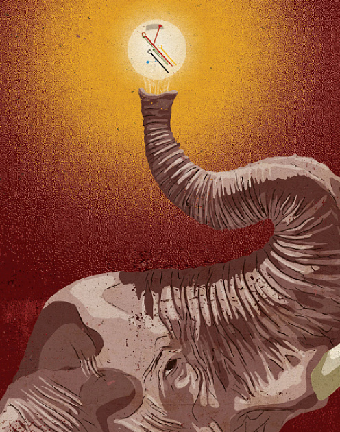 Африка: полигон для экспериментов