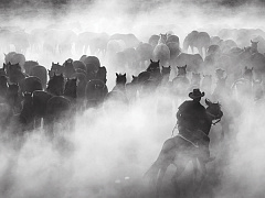 Разрешите сотрудникам бунтовать