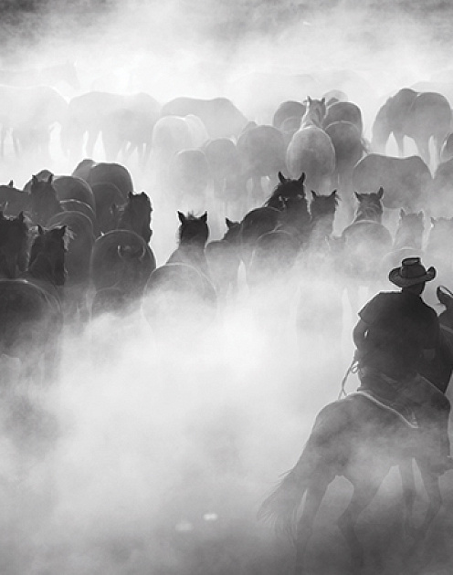 Разрешите сотрудникам бунтовать