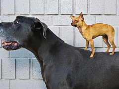 Удержать и вовлечь