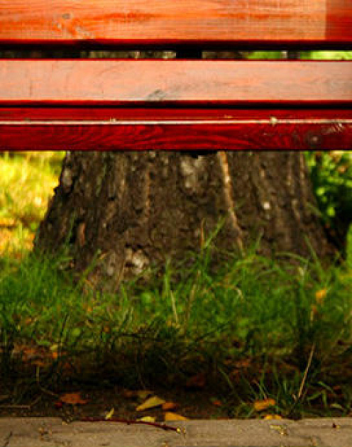 Что делать, если вы не нравитесь боссу