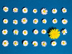 Как сделать ИИ справедливым