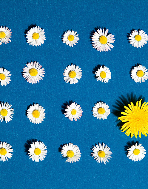 Как сделать ИИ справедливым