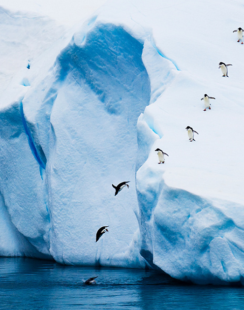 Как сохранить команду после увольнения ключевого сотрудника