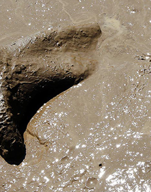 4 совета по налаживанию деловых связей