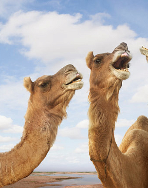 «Вы не в клубе»: почему мужчин повышают, а женщин нет