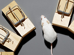 Управление рисками в новом мире