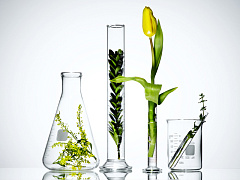 Эволюционный подход к инновациям