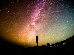 Эффект летучей мыши: означает ли рост ИИ конец эпохи Просвещения?