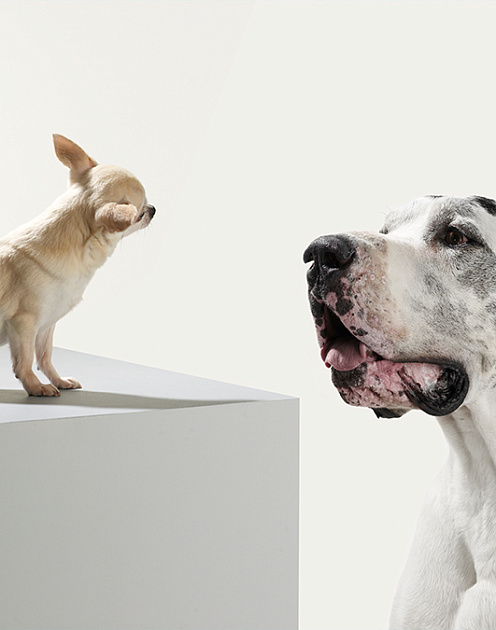 Как корпорациям нужно работать со стартапами