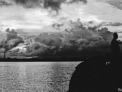 Инстинкты человека: мифы и реальность