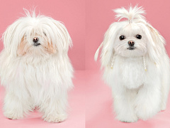 Горькая правда о культуре инноваций