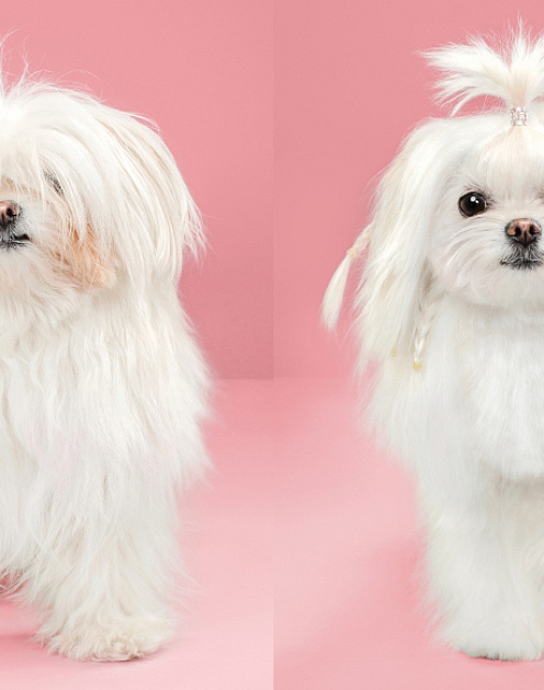 Горькая правда о культуре инноваций