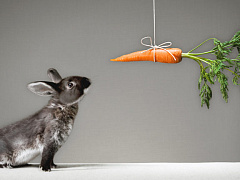 Перестаньте обманывать на собеседованиях