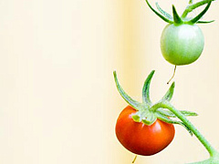 Упраздните бюрократию в своей команде