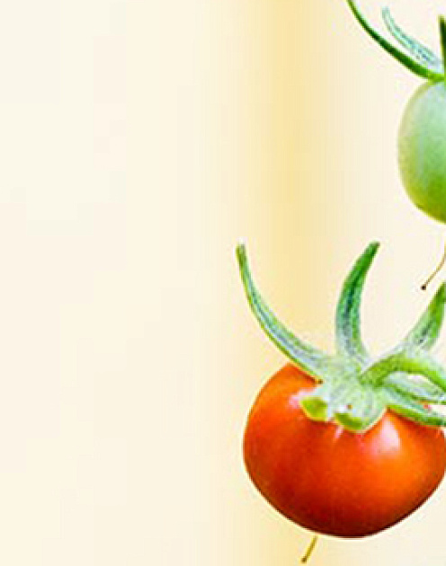 Упраздните бюрократию в своей команде