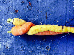 Опыт P&G: как сочетать разные культуры в одной компании