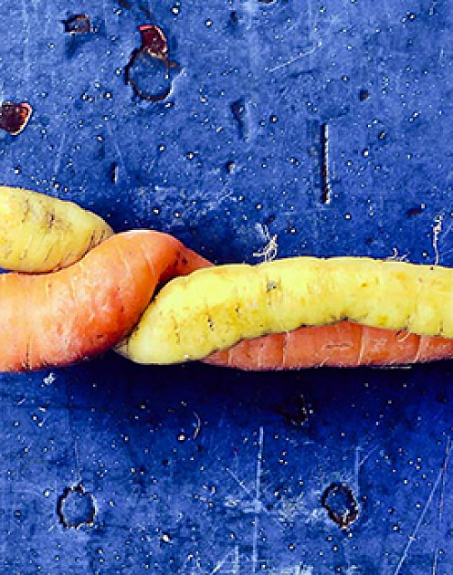 Опыт P&G: как сочетать разные культуры в одной компании