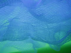 Как заработать миллиард на идеях сотрудников