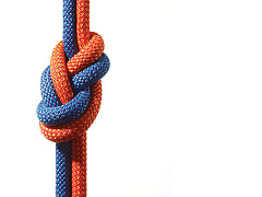 Нейробиология доверия