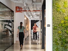 Не будьте сверхлояльны компании