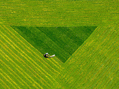 Советы тем, кто страдает от перфекционизма