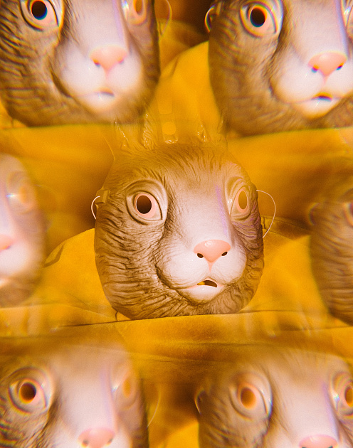 «Обмани императора, чтобы переплыть море» 