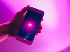 Четыре мифа о гигономике