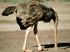 Как отгородиться от навязчивого коллеги