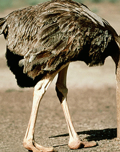 Как отгородиться от навязчивого коллеги