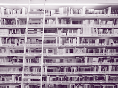 В поисках идей: майский выпуск