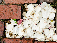 Аутентичность может быть лишь еще одним способом подражания