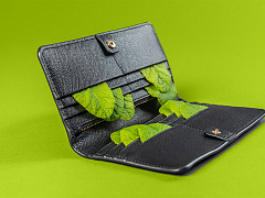 «Делать добро и делать деньги»: Джонатан Сорос о том, как сделать мир лучше с помощью капитала