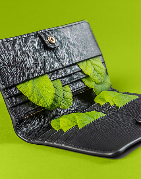 «Делать добро и делать деньги»: Джонатан Сорос о том, как сделать мир лучше с помощью капитала