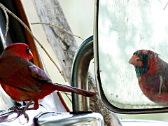 5 способов лучше познать самого себя