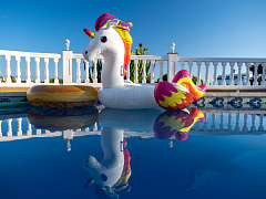 Как вырастить единорога